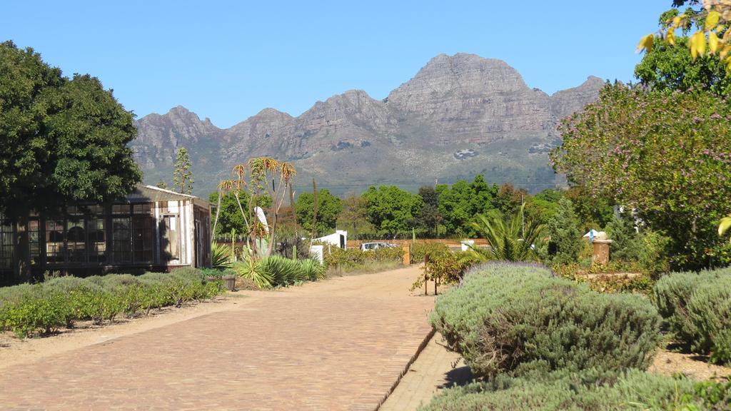 De Oude Schuur Apartment Stellenbosch Ruang foto