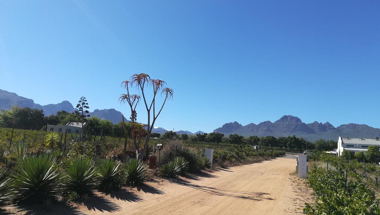 De Oude Schuur Apartment Stellenbosch Bagian luar foto