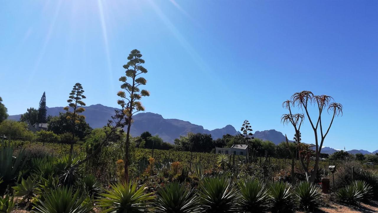 De Oude Schuur Apartment Stellenbosch Bagian luar foto